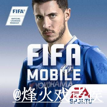 美加墨世界杯APP入口问题解析，安装问题与下载异常说明